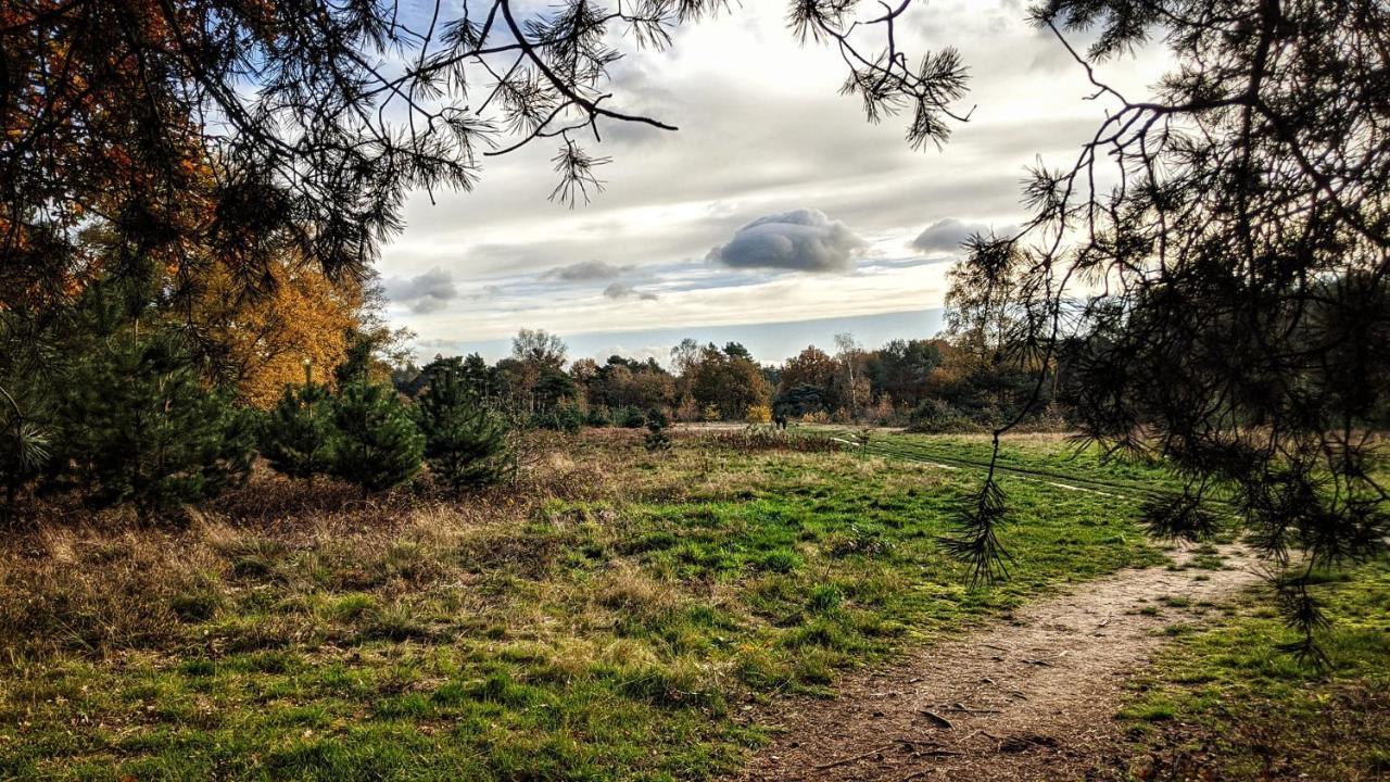 Chalet Op De Veluwe # Eiken プッテン エクステリア 写真